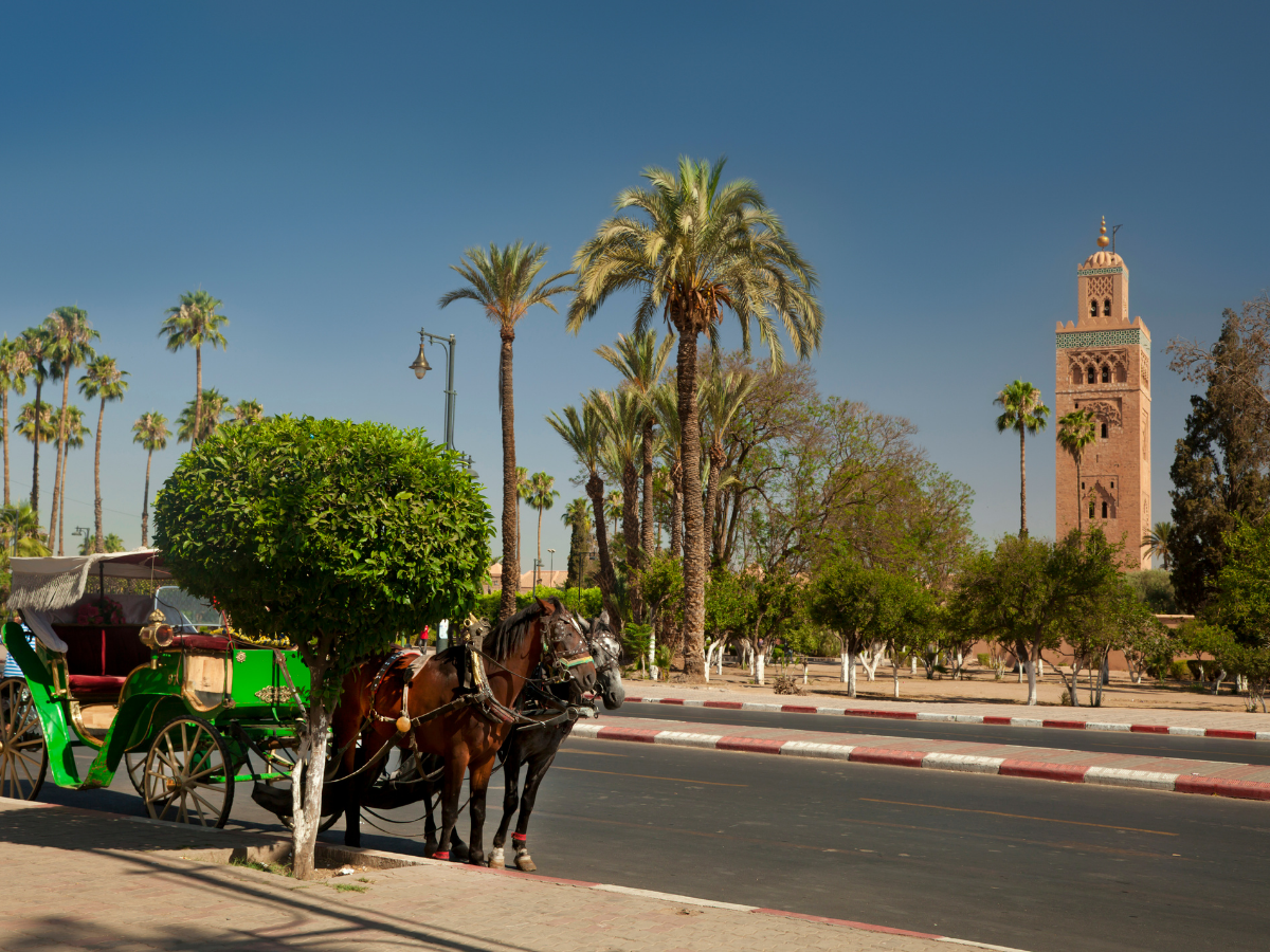 Sahara Desert Tours from Marrakech: 2026 Guide