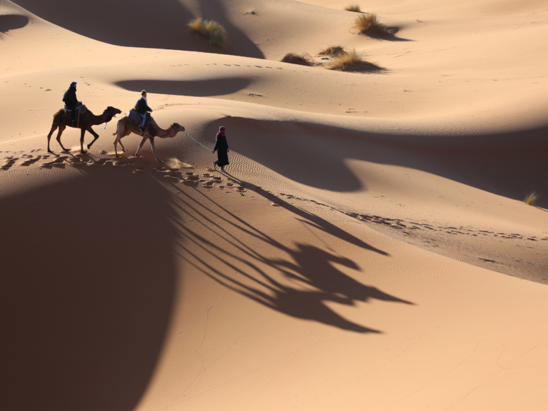 Camel caravan crossing the Sahara sand dunes