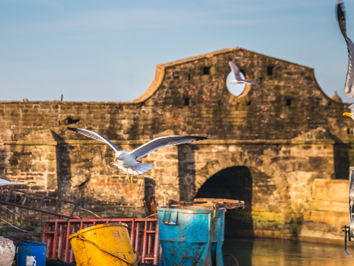 Excursión Marrakech-Essaouira: 1 Día Completo