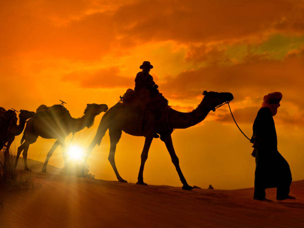 4-Day Private Morocco Tour from Marrakech to Merzouga