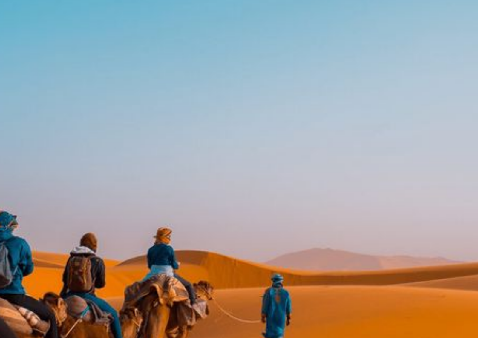 Camel trekking at sunset Erg Chebbi dunes Merzouga Sahara Morocco