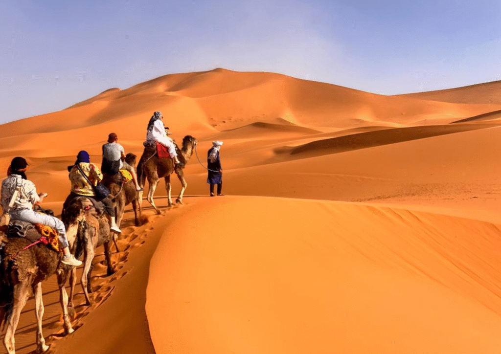 Sahara desert Morocco - Merzouga dunes camel trekking