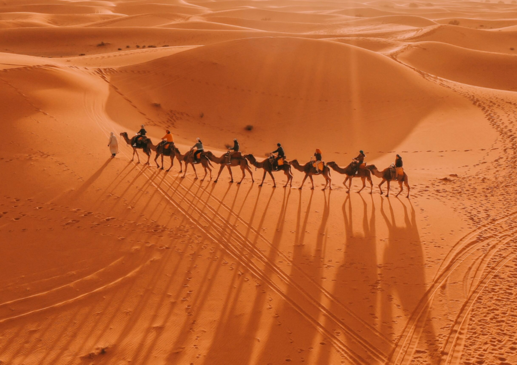 Camel caravan crossing the Erg Chebbi dunes at sunset