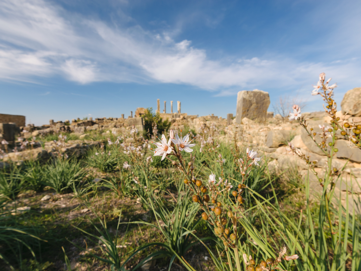 journey-via-morocco (83)