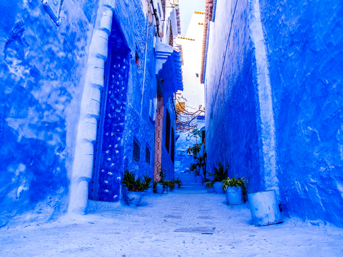 Education Tours in Morocco: 7 Best Student Trips