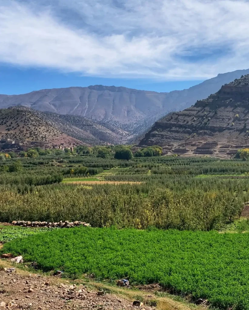 Tour al Valle de Ait Bouguemez