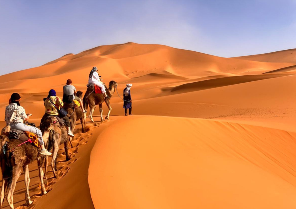 marrakech desert tours