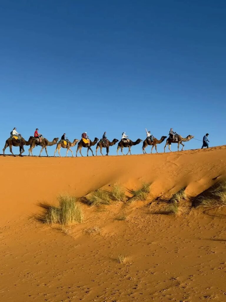 MARRAKECH DESERT TOURS