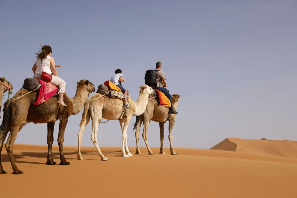 Morocco 5 Day Tour Organized Trips to Morocco