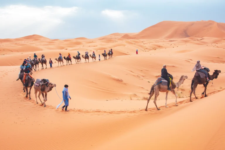 Camel caravan crossing the Erg Chebbi dunes